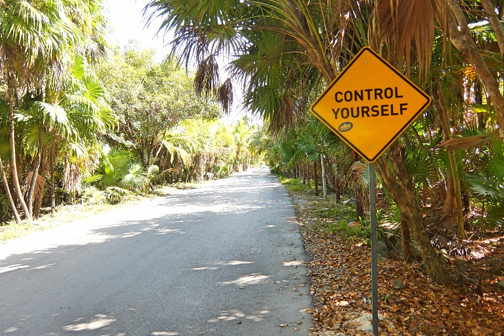 Beaches Ruins Cenotes Biking in Tulum - Tulum Ruins - Route