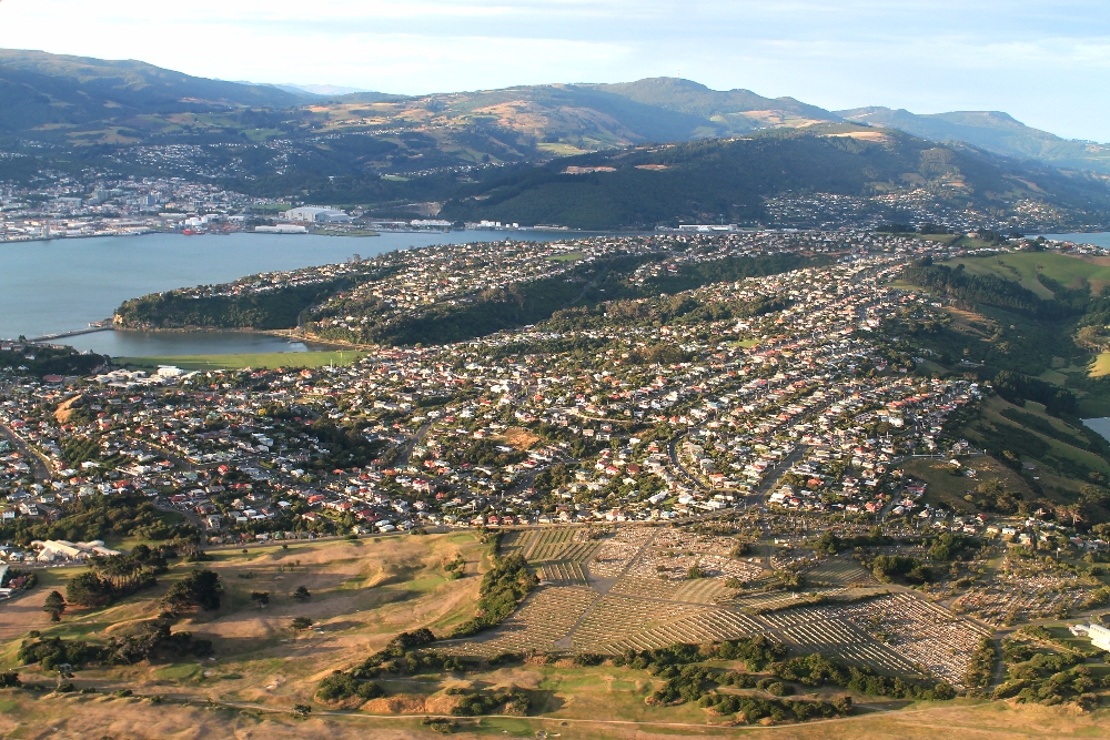 Two Seater Plane Scenic Flight Dunedin New Zealand - Scenery