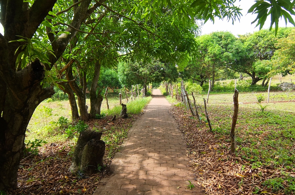 Budget Carribbean - Little Corn Island Nicaragua - Beach Trail
