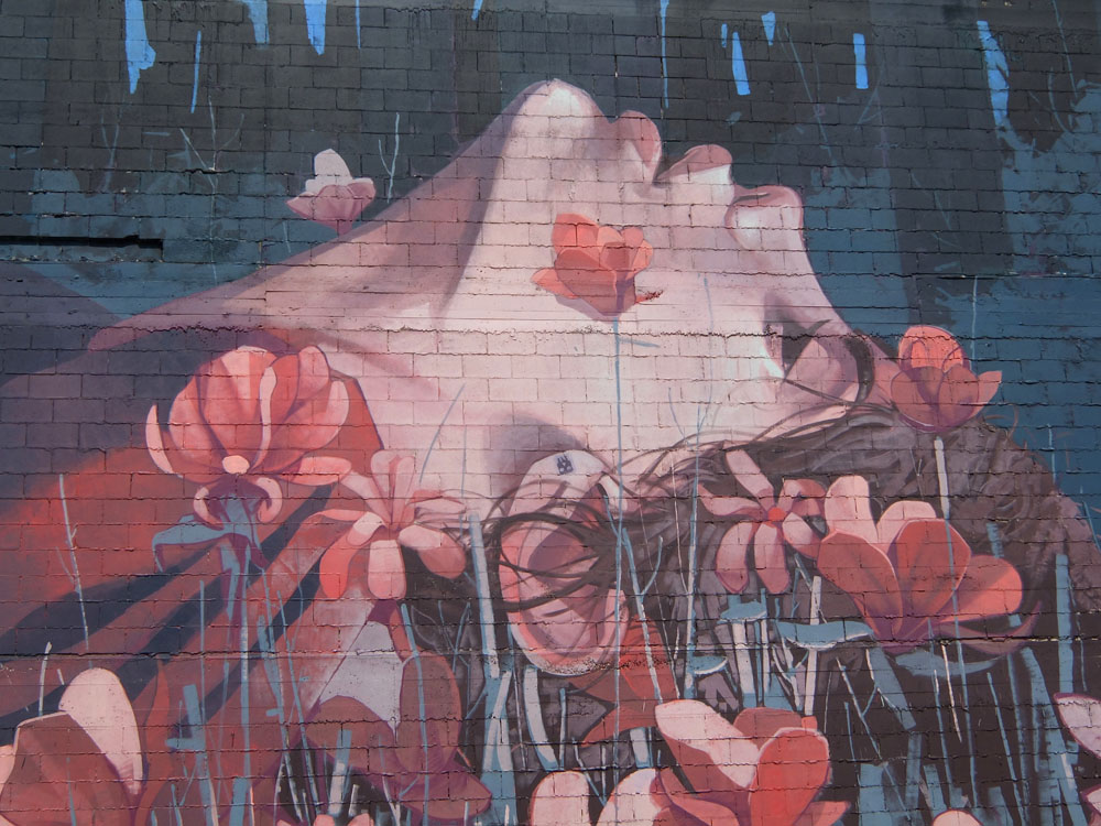 Dunedin Street Art Trail - New Zealand - Etam Cru - Girl