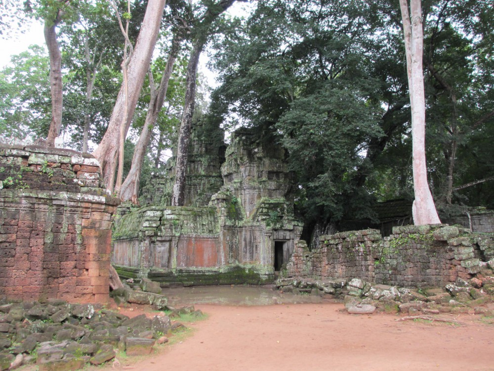 Angkor Temples, Cambodia Soul Searching Ta Phrom Trunks 2