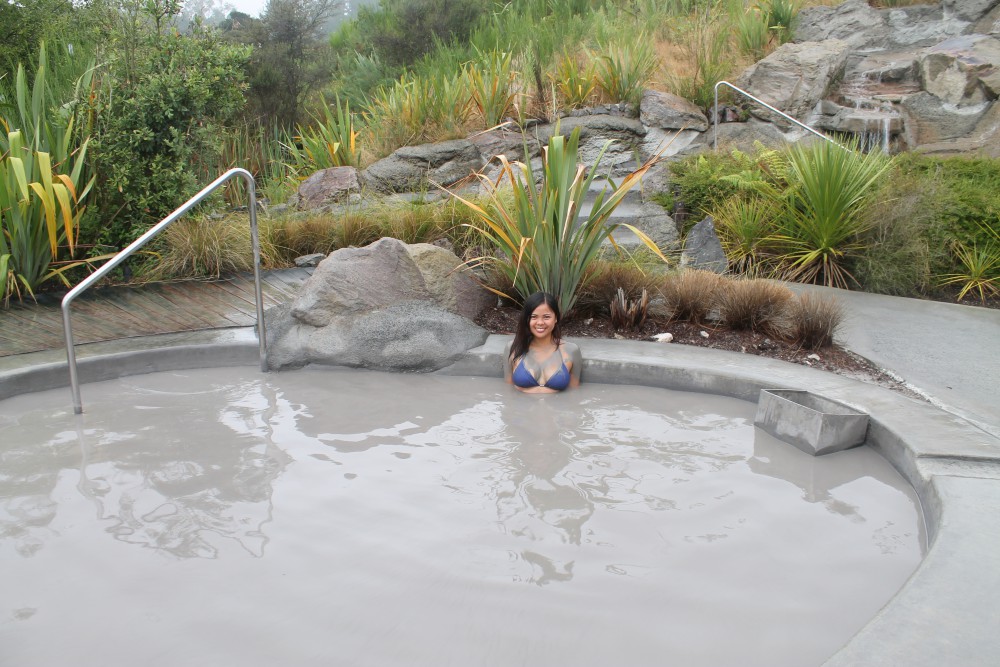 Hells Gate Rotorua Geothermal Park New Zealand Mud Bath Gia