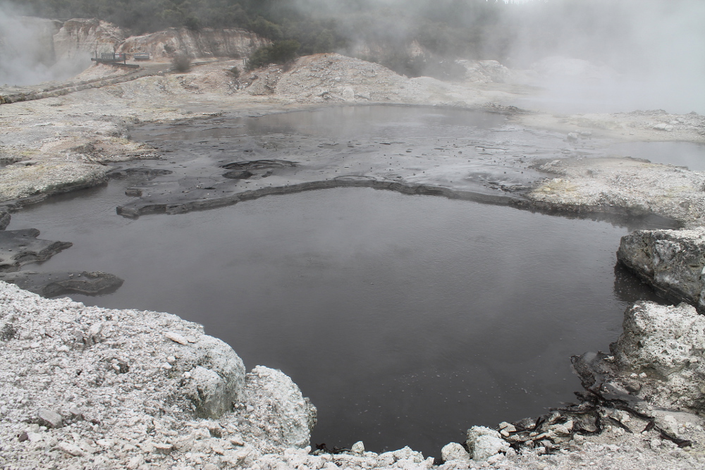 Hells Gate Rotorua Geothermal Park Mud Bath Sulphur Spa New Zealand Sulphur Lakes