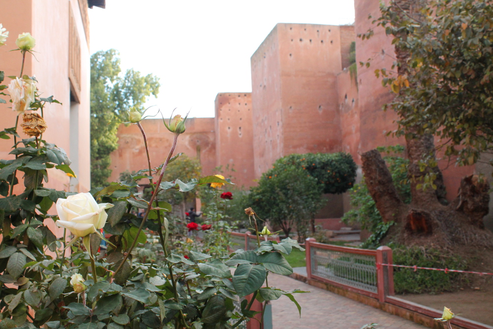 Marrakech Morocco - Gateway to Sahara Desert - Tomb
