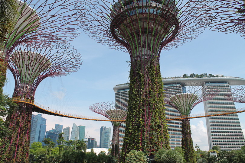 Gardens by the Bay - Best Free Things to Do in Singapore