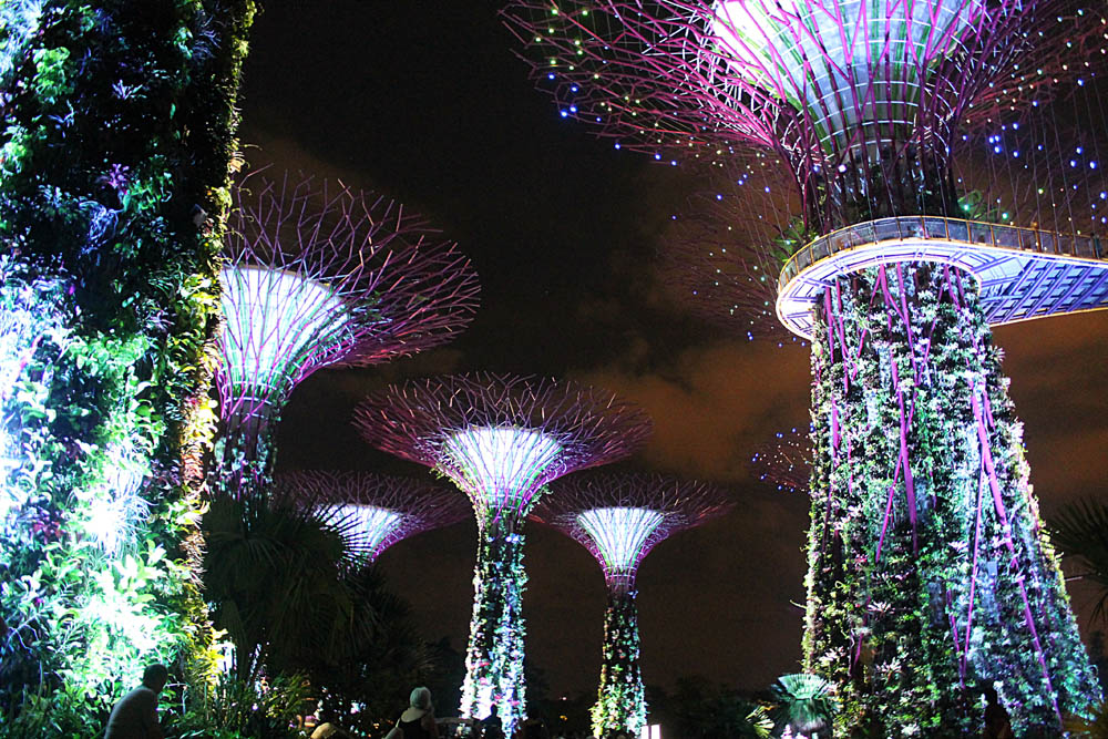 Garden Rhapsody at Gardens by the Bay - Best Free Things to Do in SIngapore