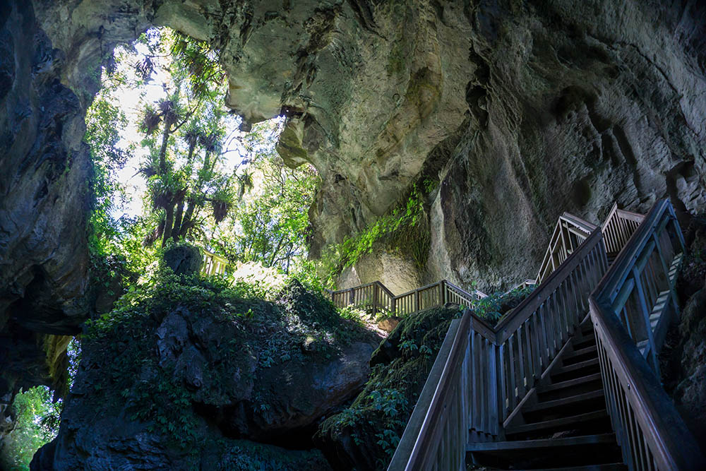 Mangapohue Natural Bridge in Waitomo, New Zealand
